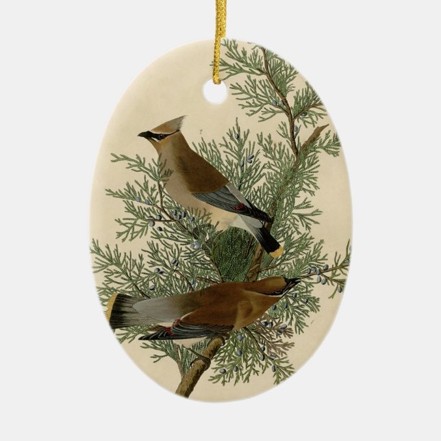 Audubon Cedar Waxwing Bird Ceramic Tree Decoration (Front)