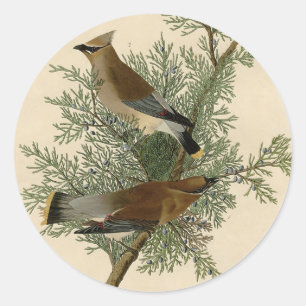 Audubon Cedar Waxwing Bird Classic Round Sticker