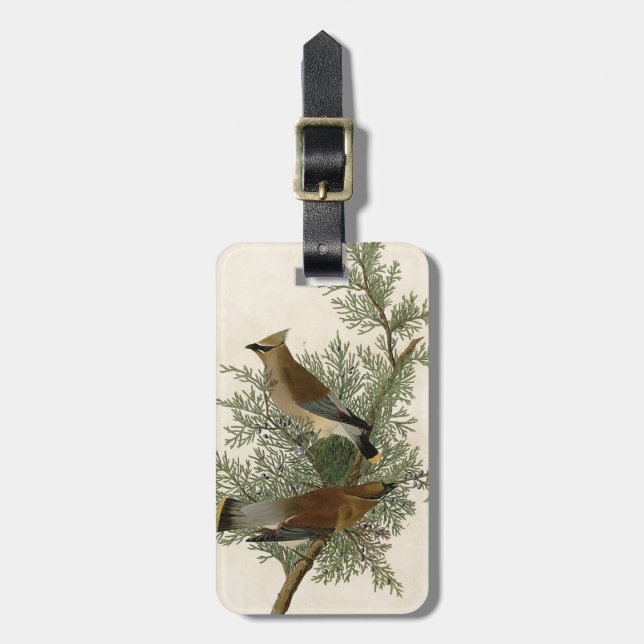 Audubon Cedar Waxwing Bird Luggage Tag (Front Vertical)