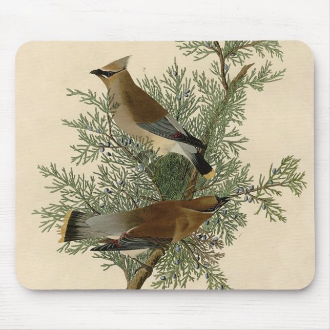 Audubon Cedar Waxwing Bird Mouse Mat (Front)