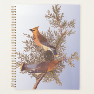Audubon Cedar Waxwing Bird on Evergreen Juniper Planner