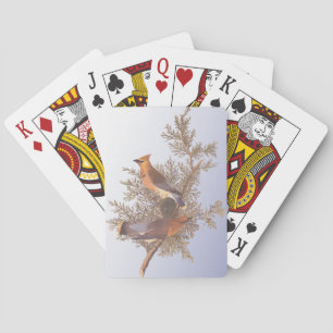 Audubon Cedar Waxwing Bird on Evergreen Juniper Playing Cards