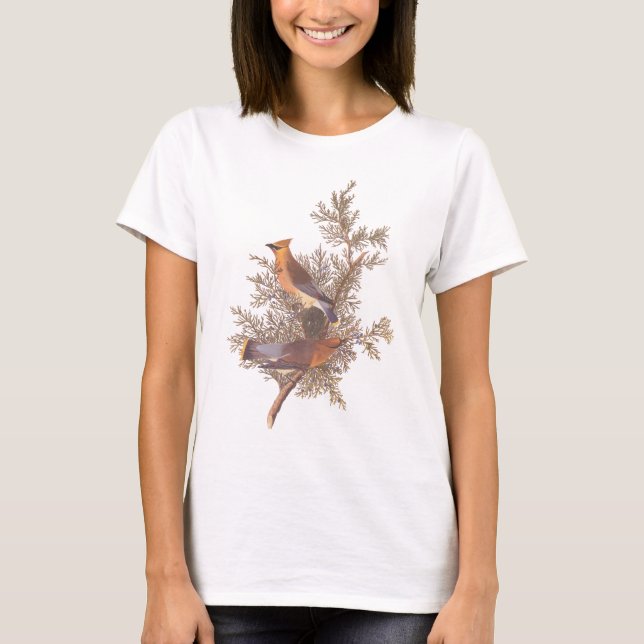 Audubon Cedar Waxwing Bird T-Shirt (Front)