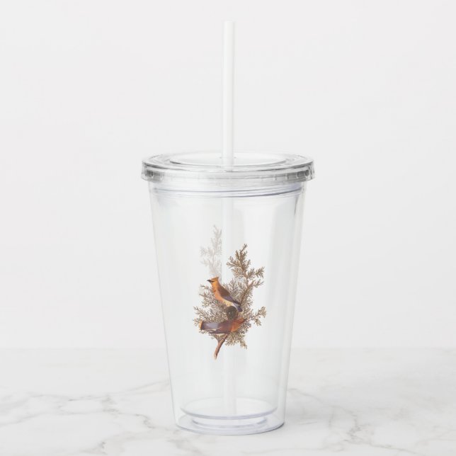 Audubon Cedar Waxwing Songbirds in Juniper Acrylic Tumbler (Front)
