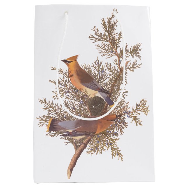 Audubon Cedar Waxwing Songbirds in Juniper Medium Gift Bag (Front)