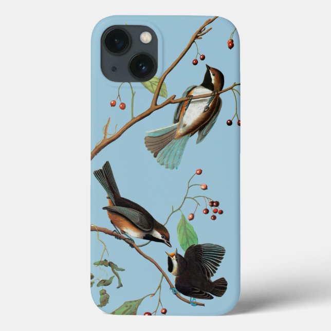 Audubon: Chickadee Case-Mate iPhone Case (Back)