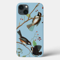Audubon: Chickadee