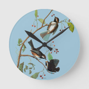 Audubon: Chickadee Round Clock