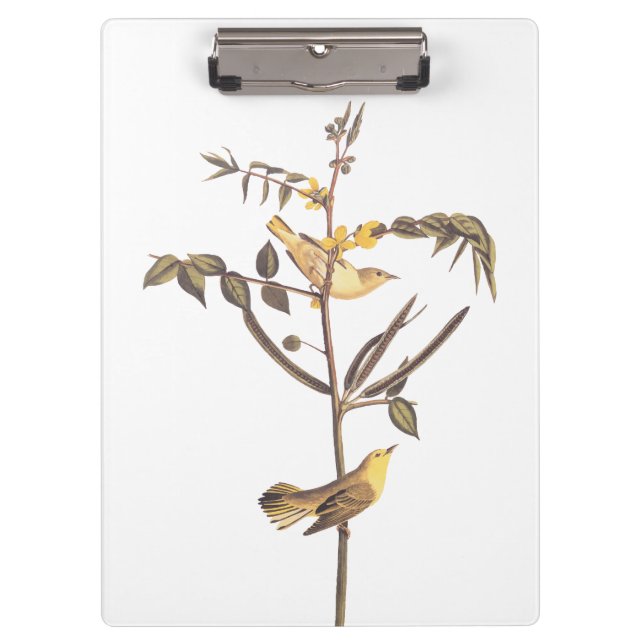 Audubon Children's Warbler Songbird Clipboard (Front)