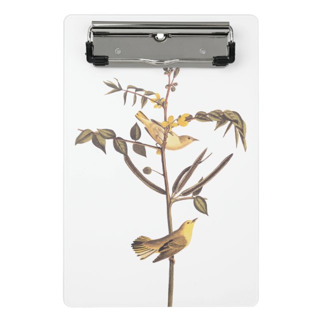 Audubon Children's Warbler Songbird Mini Clipboard (Front)