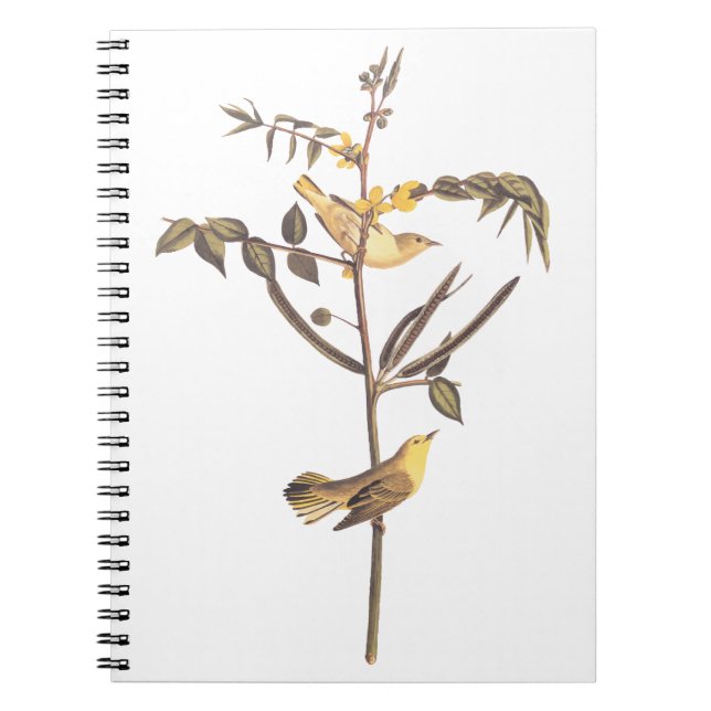 Audubon Children's Warbler Songbird Notebook (Front)