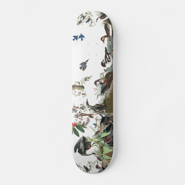 Audubon Collage Birds Wildlife Animals Skateboard (Front)