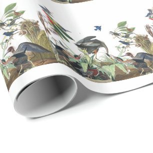 Audubon Collage Birds Wildlife Wrapping Paper