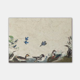 Audubon Collage of Birds Wildlife Post It Notes