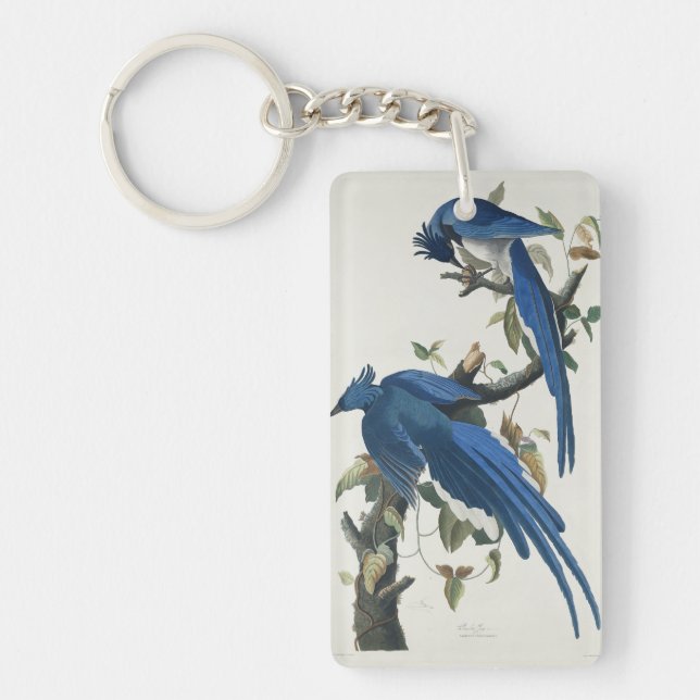 Audubon Columbia Jay Black Throated Magpie Jay Key Ring (Front)
