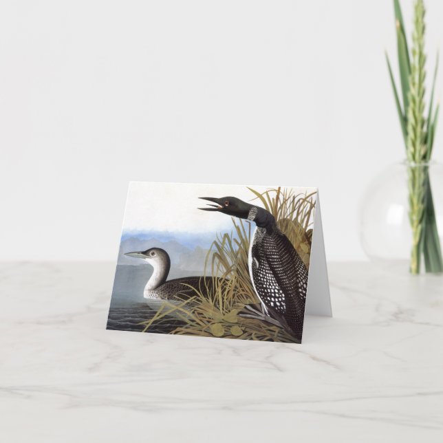 Audubon: Common Loon Card (Front)