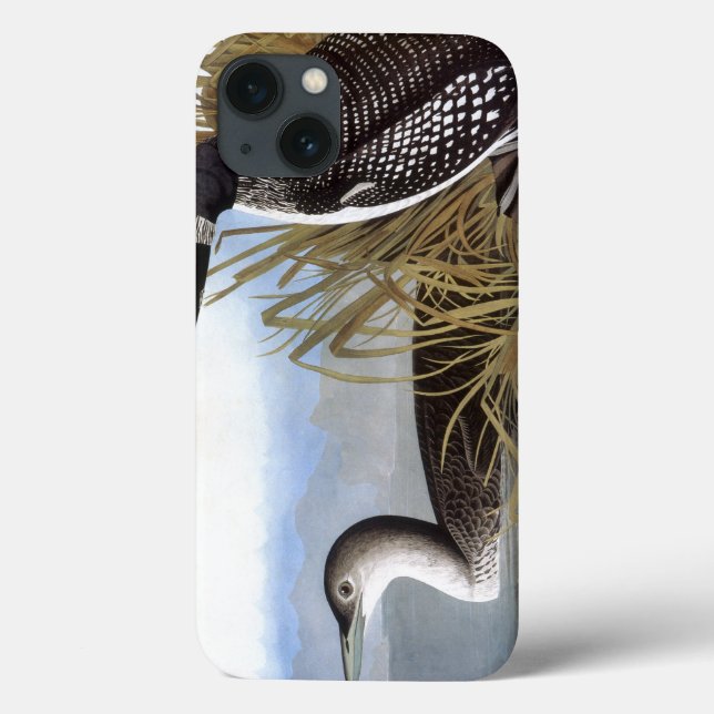 Audubon: Common Loon Case-Mate iPhone Case (Back)