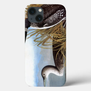 Audubon: Common Loon iPhone 13 Case