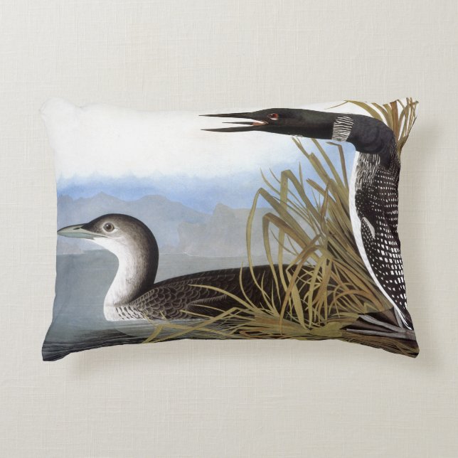 Audubon: Common Loon Decorative Cushion (Front)