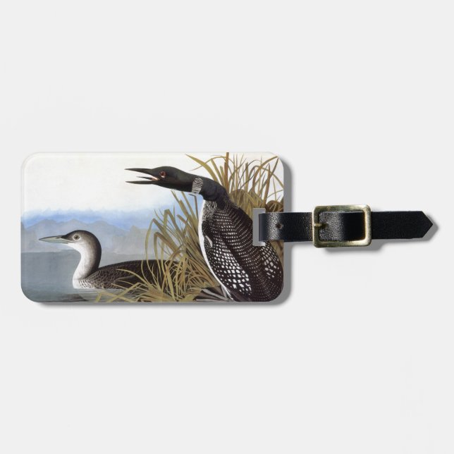 Audubon: Common Loon Luggage Tag (Front Horizontal)