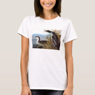 Audubon: Common Loon T-Shirt