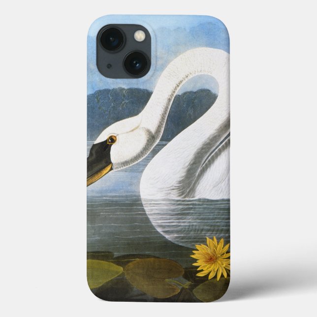 Audubon: Common Swan Case-Mate iPhone Case (Back)