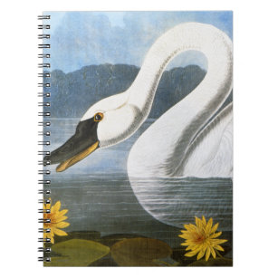 Audubon: Common Swan Notebook