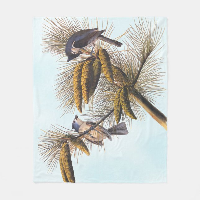Audubon Crested Titmouse Birds in Pine Tree Fleece Blanket (Front)