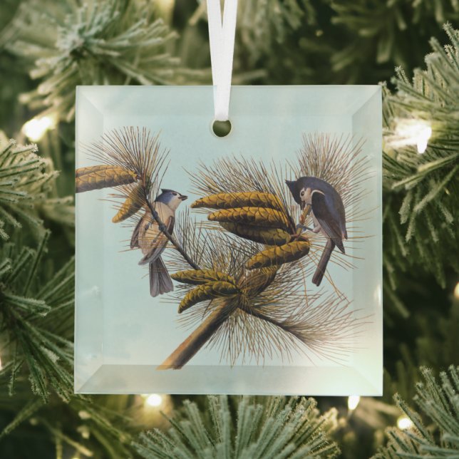 Audubon Crested Titmouse Birds in Pine Tree Glass Tree Decoration (Insitu)