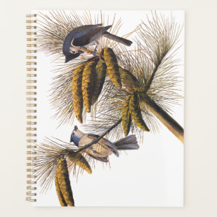 Audubon Crested Titmouse Birds in Pine Tree Planner