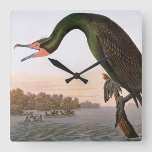 Audubon: Double Crested Cormorant Square Wall Clock