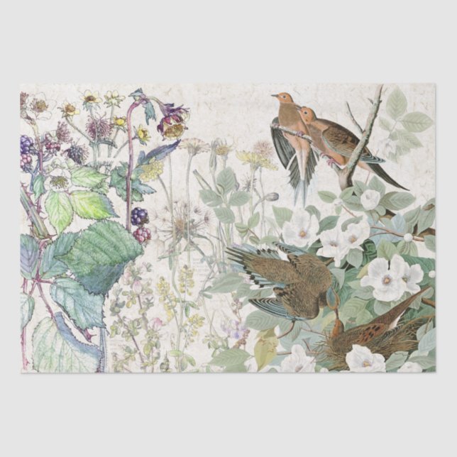 Audubon Dove Birds Wildflower Flowers Tissue Paper (Front)