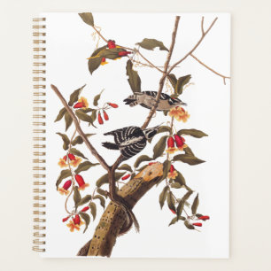 Audubon Downy Woodpecker Couple with Flowers Planner