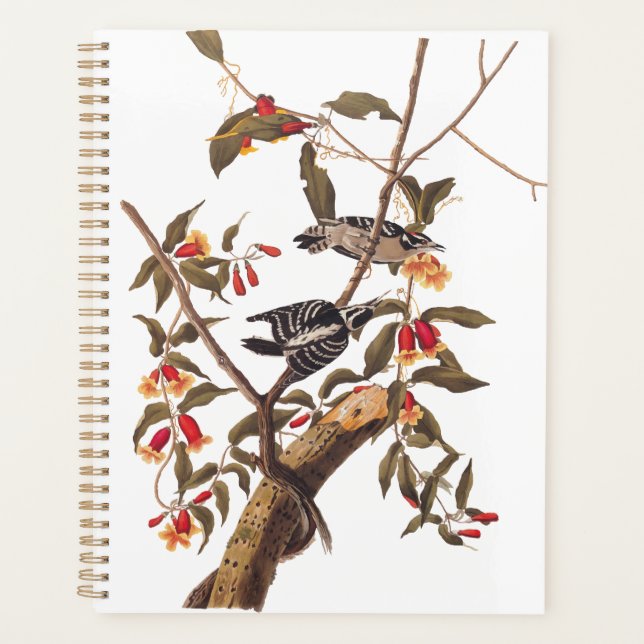 Audubon Downy Woodpecker Couple with Flowers Planner (Front)