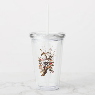 Audubon Downy Woodpecker Pair Vintage Art Acrylic Tumbler