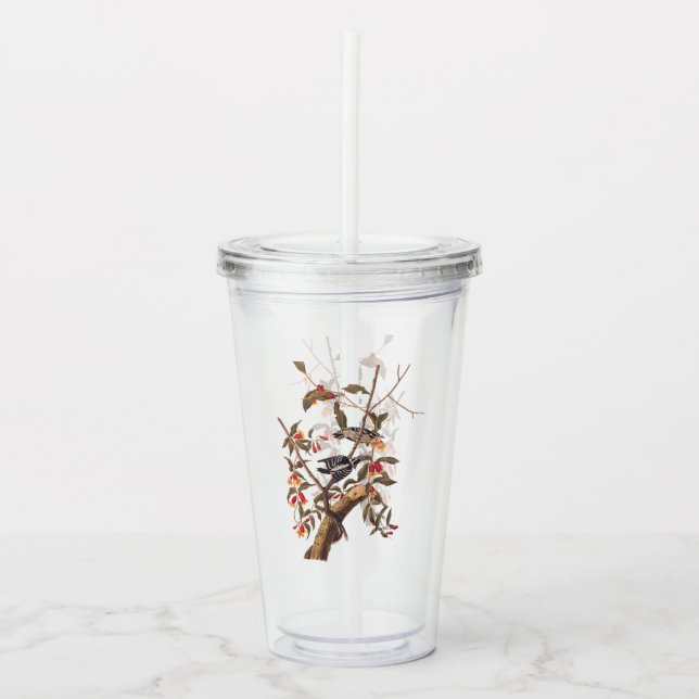 Audubon Downy Woodpecker Pair Vintage Art Acrylic Tumbler (Front)