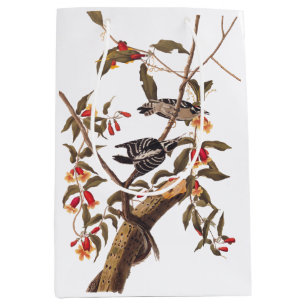 Audubon Downy Woodpecker Pair Vintage Art Medium Gift Bag