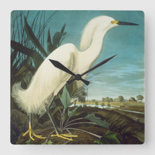 Audubon: Egret Square Wall Clock