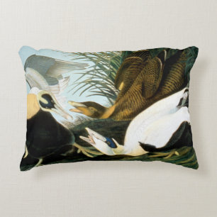 Audubon: Eider Duck Decorative Cushion