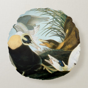 Audubon: Eider Duck Round Cushion