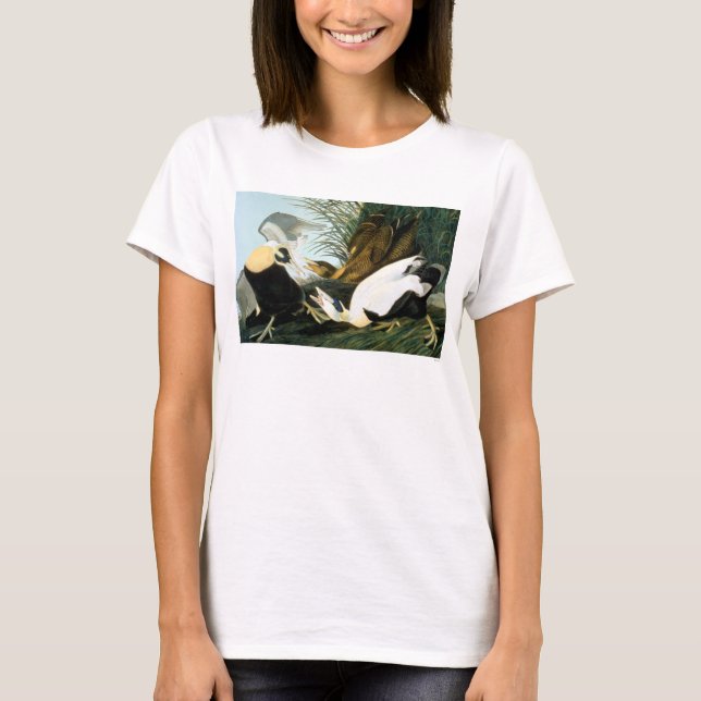 Audubon: Eider Duck T-Shirt (Front)