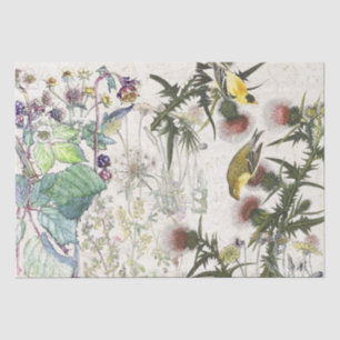 Audubon Finch Birds Wildflowers Tissue Paper