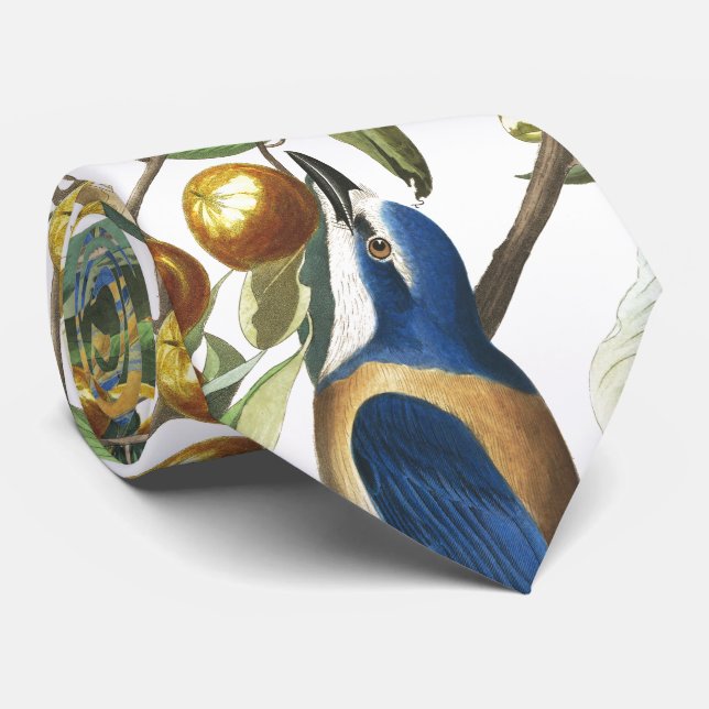 Audubon Florida Jay Birds Wildlife Animal Tie (Rolled)