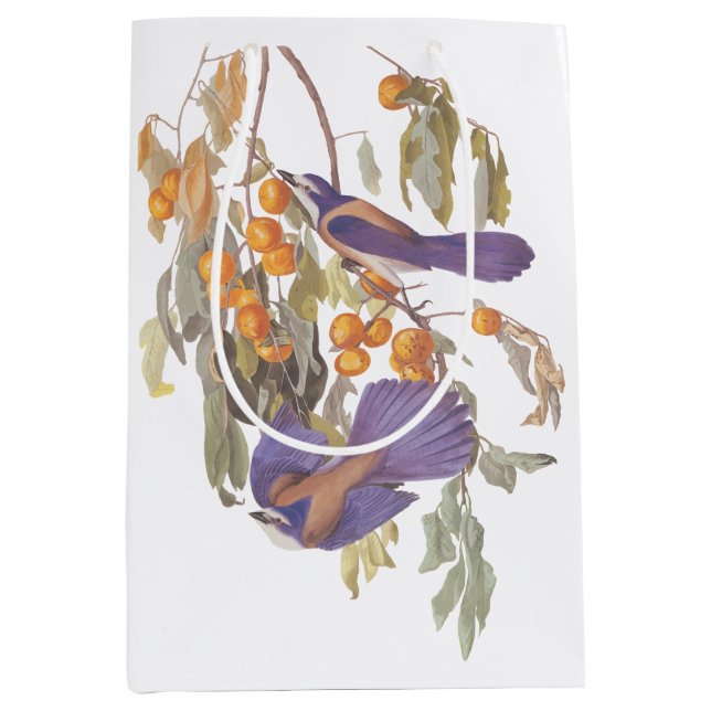 Audubon Florida Scrub Jay Bird on Orange Tree Medium Gift Bag (Front)