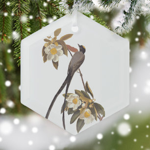 Audubon Fork-Tailed Flycatcher Bird Vintage Art Glass Tree Decoration