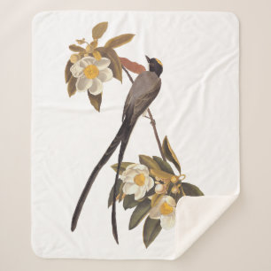 Audubon Fork-Tailed Flycatcher Bird Vintage Art Sherpa Blanket