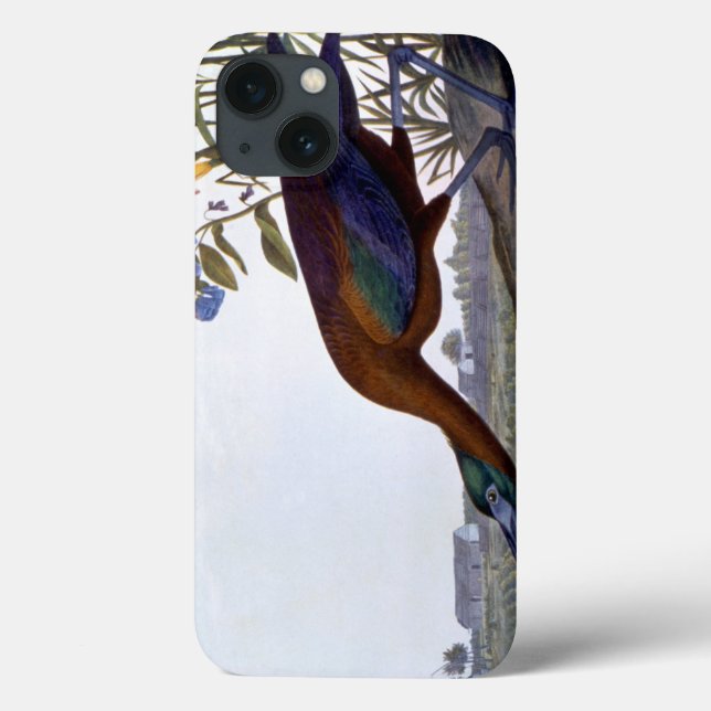 Audubon: Glossy Ibis Case-Mate iPhone Case (Back)