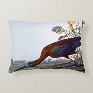 Audubon: Glossy Ibis Decorative Cushion