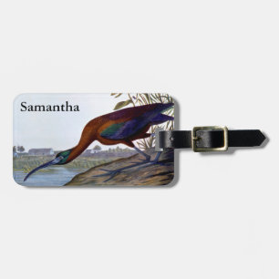 Audubon: Glossy Ibis Luggage Tag