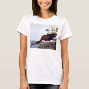 Audubon: Glossy Ibis T-Shirt